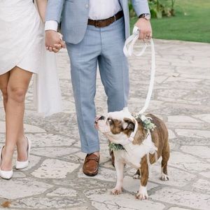 White leather dog leash AND matching collar. Size Large 🤍🤍🤍🐶